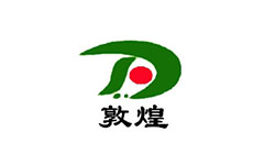 敦煌综合频道