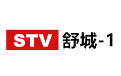 舒城新闻综合频道