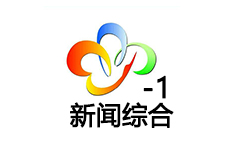 武汉新闻综合频