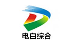 电白综合频道
