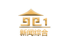 南阳新闻综合频