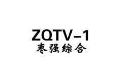 枣强综合频道
