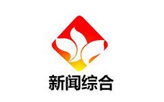 岳西新闻综合频