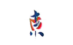 河东区电视台