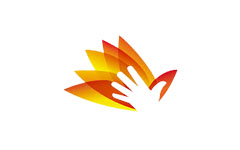 Solidaria TV Argentina