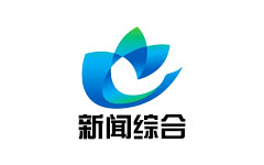 蔡甸新闻综合频