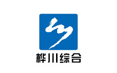 桦川综合频道