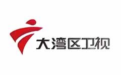 大湾区卫视海外版