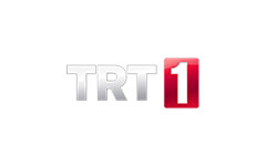TRT 1