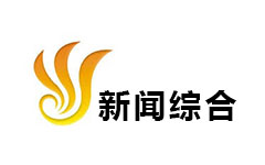 沈丘新闻综合频道