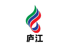 庐江新闻综合频
