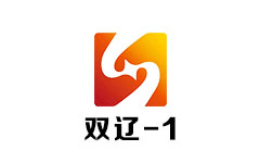 双辽综合频道