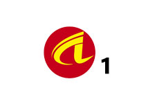 阿勒泰汉语综合