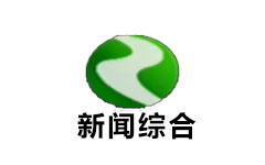 镇平新闻综合频