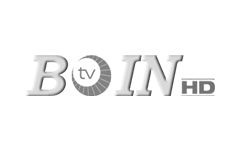 TV Boin