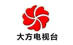 大方电视台