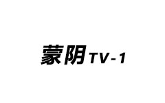蒙阴综合频道