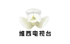 维西县电视台