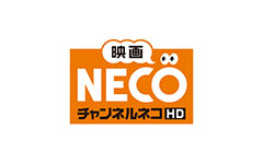 チャンネルNE