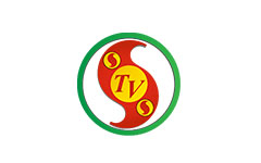 STVS
