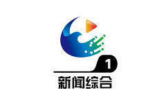望江新闻综合频道